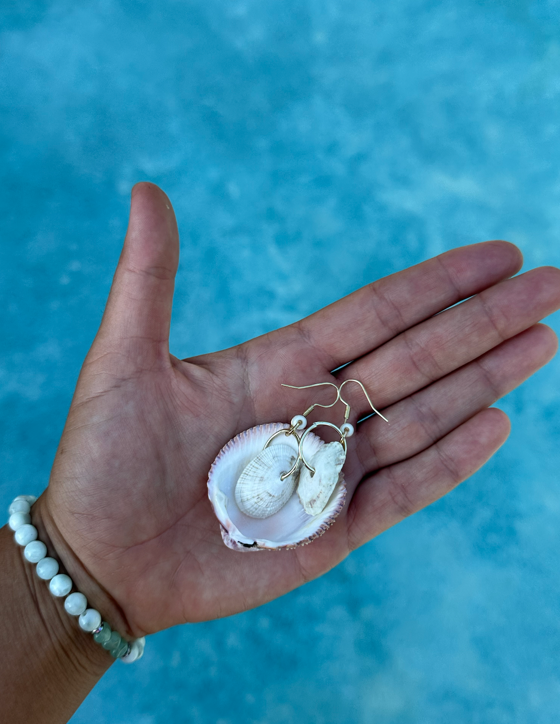 Simple Shell Earrings